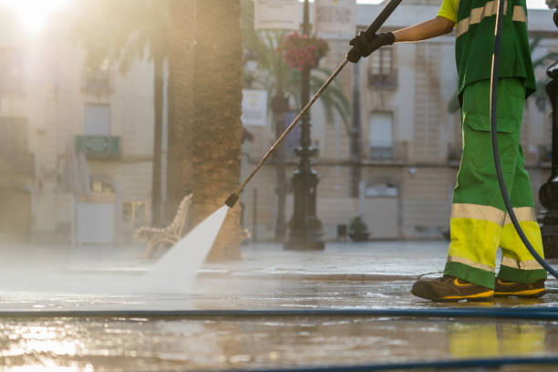 Best Driveway Pressure Washing  in University Of Lifornia Davis, CA
